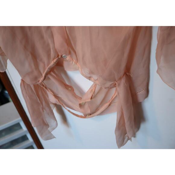 1920's Sheer Embroidered Chiffon Pink Blouse Unusual Waistline - Picture 5 of 5